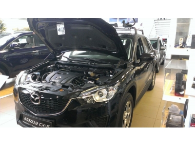 Газовые упоры капота Руссталь 2 штуки для Mazda CX-5