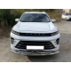 Защита переднего бампера радиусная двойная d-60+43 для Exeed LX 1.5L Turbo 2WD 2022 – н.в. 