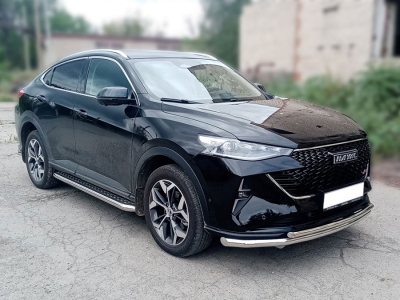 Пороги с листом d-60 Технотек для Haval F7X 2022 – н.в.
