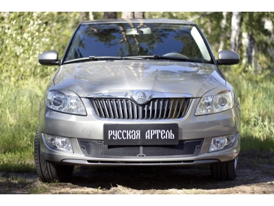 Защитная сетка решетки переднего бампера Русская артель для Skoda Fabia 2010-2015