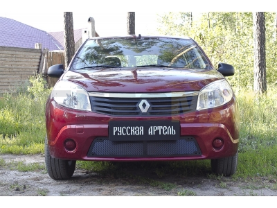 Защитная сетка и заглушка решетки переднего бампера Русская артель для Renault Sandero 2009-2014