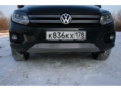 Накладка решётки бампера 10 мм для Volkswagen Tiguan № VWTI.97.2295