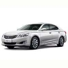 Защита картера Changan Raeton