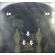 Защита картера и КПП Мотодор алюминий 5 мм для Subaru Tribeca 2004-2014