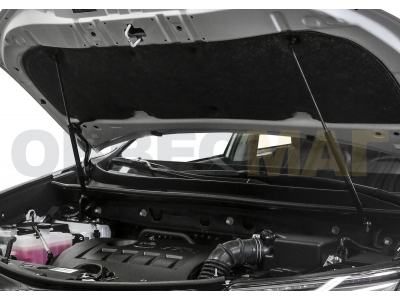 Упоры капота Rival 2 штуки для Toyota RAV4 2013-2019