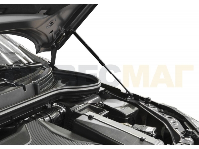 Упоры капота Rival 2 штуки для Lada Vesta 2015-2021