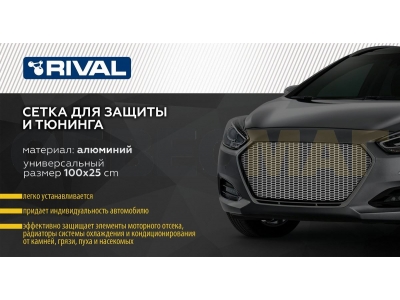 Универсальная сетка 1000х250 R10 черная, 1 шт Rival для INDIV.ZS.1001.1