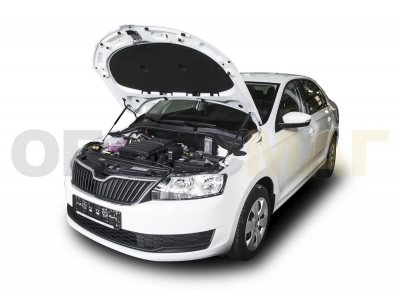 Упоры капота Автоупор 2 штуки для Skoda Rapid 2012-2021