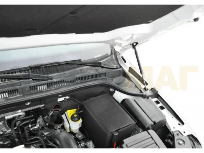 Упоры капота Автоупор 2 штуки для Volkswagen Jetta 6 2011-2018