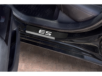 Накладки на пороги Russtal, карбон с логотипом для Lexus ES 2018-2021