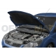 Упор капота Автоупор 2 шт для Ford Focus 2 2005-2011