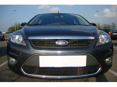 Защита радиатора черная РусСталь для Ford Focus 2 2008-2011