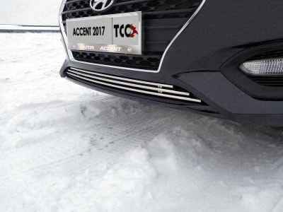 Решётка радиатора нижняя 12 мм ТСС для Hyundai Accent 2018-2021