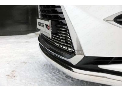 Защита передняя овальная 75х42 мм ТСС для Lexus RX-200t/350/450h 2015-2021