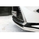 Защита передняя овальная 75х42 мм ТСС для Lexus RX-200t/350/450h 2015-2021
