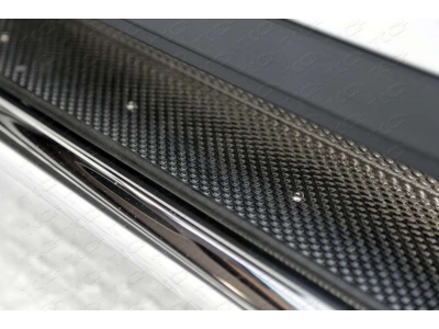 Пороги с площадкой нержавеющий лист 42 мм ТСС для Lexus RX-200t/350/450h 2015-2021