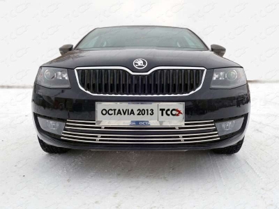 Рамка номерного знака комплект ТСС для Skoda Octavia Любые