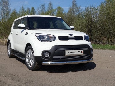 Защита передняя овальная 75х42 мм для Kia Soul № KIASOUL17-15