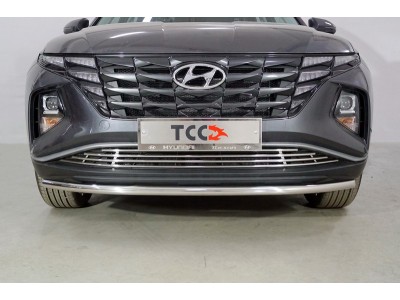 Защита передняя нижняя 42,4 мм ТСС для Hyundai Tucson 2020 – н.в.