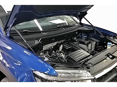 Упоры капота для VOLKSWAGEN Taos, 2021-н.в., к-т 2 шт / Фольксваген Таос