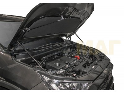 Амортизаторы капота Автоупор, 2 шт. для Toyota RAV4 2019-2021