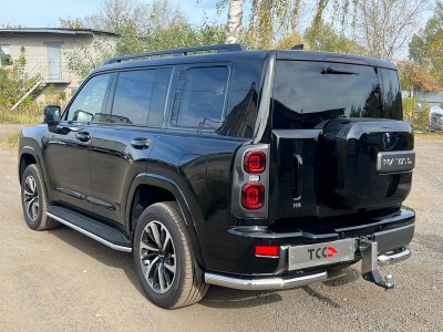 Защита порогов 42,4 мм для Haval H9 2.0 (бенз) 2024-н.в. №HAVH924-04