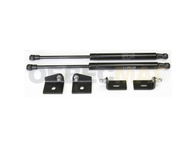 Упоры капота Автоупор 2 штуки для Citroen C4 № UCIC4011
