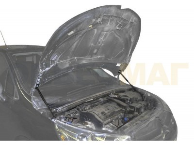 Упоры капота Автоупор 2 штуки для Citroen C4 2011-2021