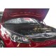 Упоры капота Автоупор 2 штуки для Kia Rio 2017-2021