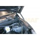 Упоры капота Автоупор 2 штуки для Lifan X60 2011-2021