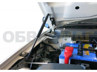 Упоры капота Автоупор 2 штуки для Mitsubishi Pajero Sport/L200 2006-2016
