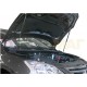 Упоры капота Автоупор 2 штуки для Nissan Sentra 2012-2017