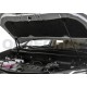 Упоры капота Автоупор 2 штуки для Toyota RAV4 2013-2019