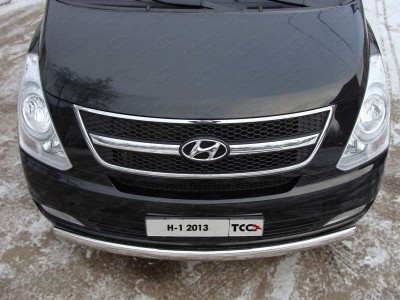 Защита передняя овальная 75х42 мм для Hyundai H-1 Starex № HYUNH113-01