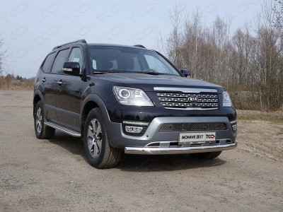 Защита передняя овальная 75х42 мм для Kia Mohave № KIAMOH17-13