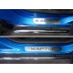 Накладки на пороги лист шлифованный надпись Kaptur ТСС для Renault Kaptur 2016-2021
