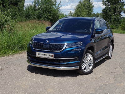 Защита передняя овальная 75х42 мм для Skoda Kodiaq № SKOKOD17-17