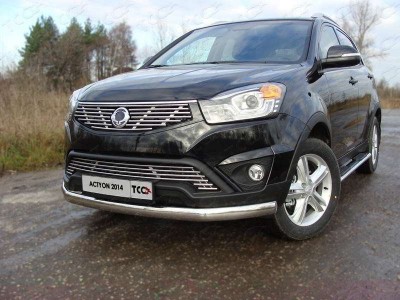 Защита передняя овальная 75х42 мм для SsangYong Actyon № SSANACT14-02